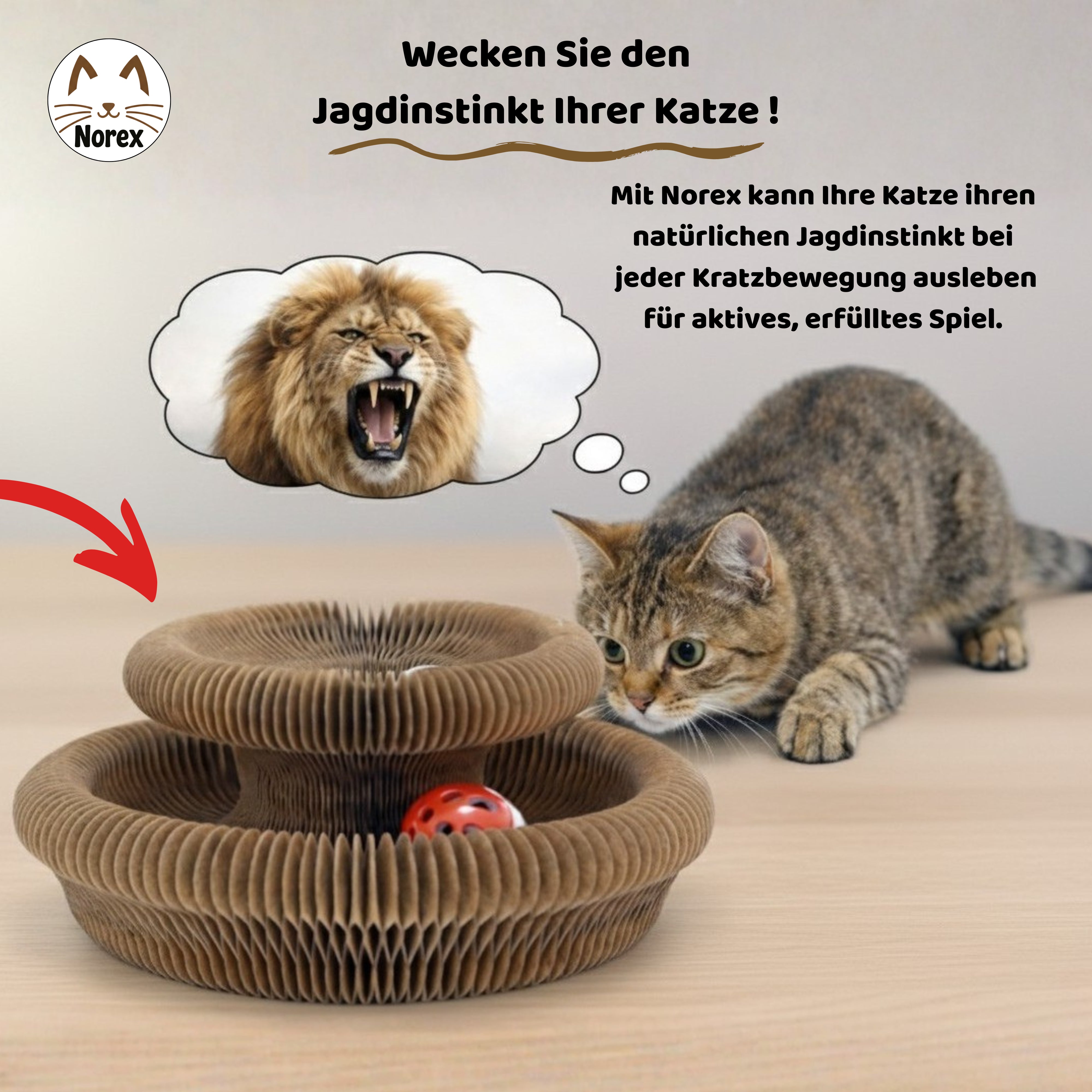 Interaktives Kratzbrett | Norex