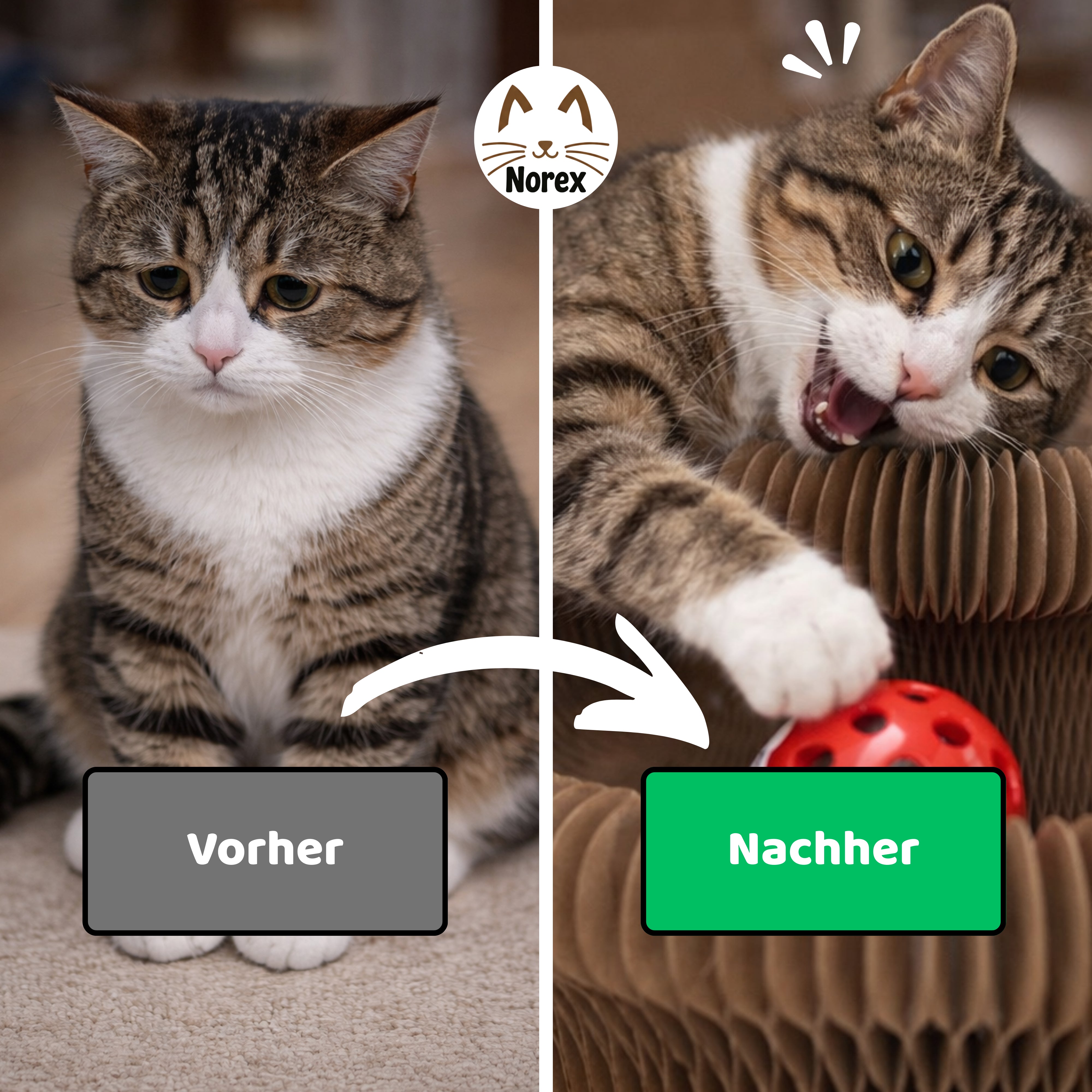 Interaktives Kratzbrett | Norex