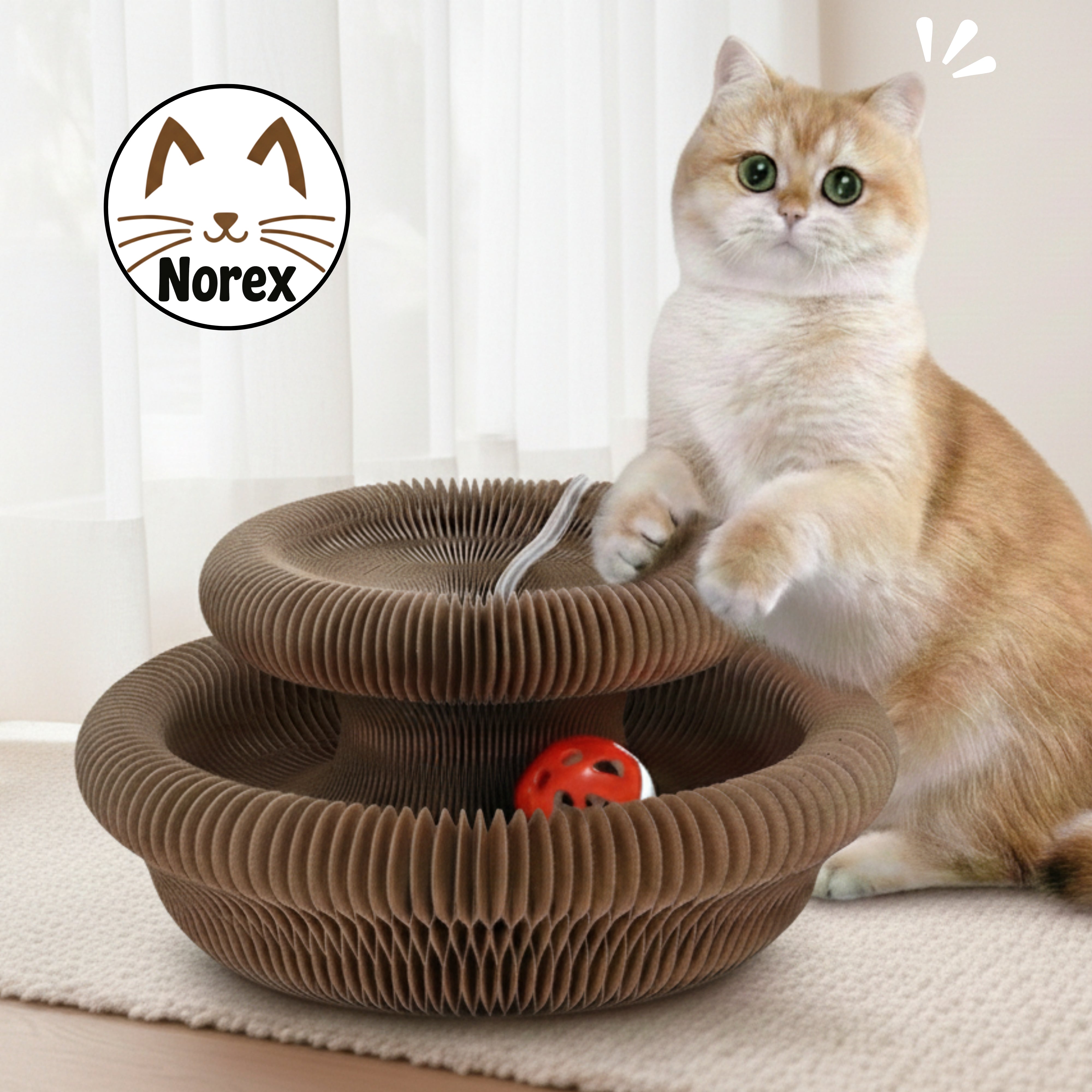 Interaktives Kratzbrett | Norex