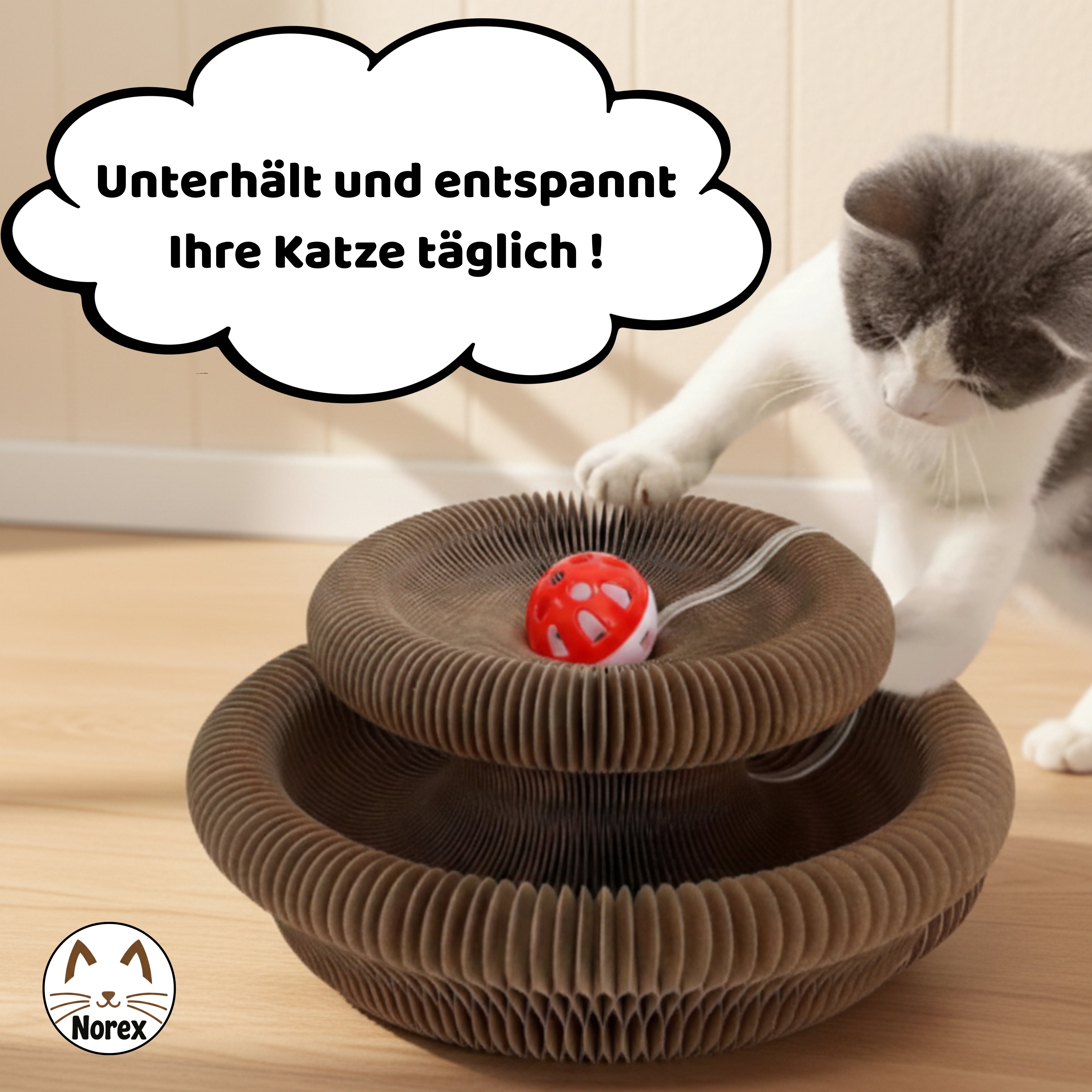 Interaktives Kratzbrett | Norex